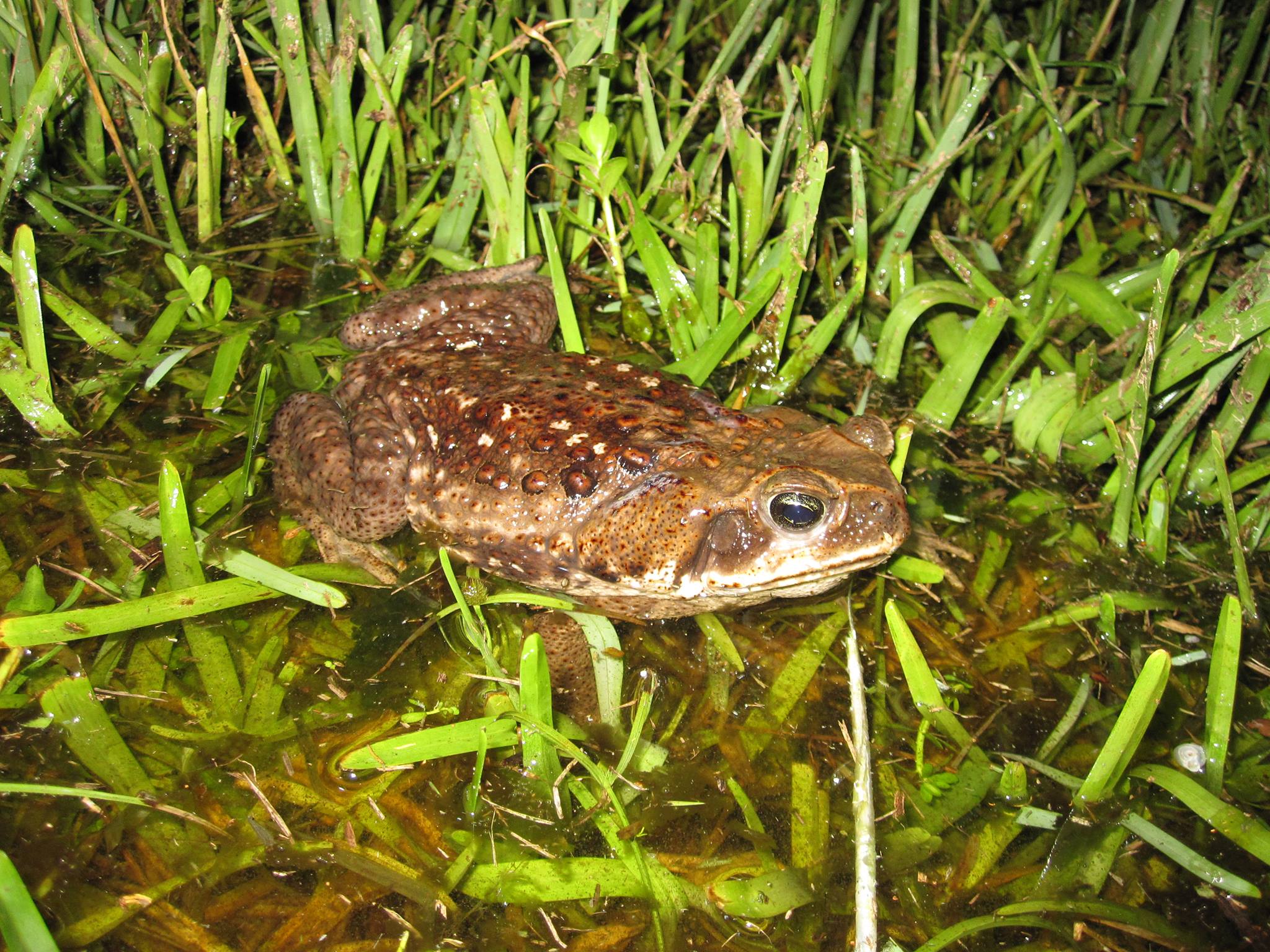 1401393 10151975230207209 98945190 O