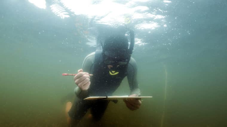 underwater research sccf marine lab