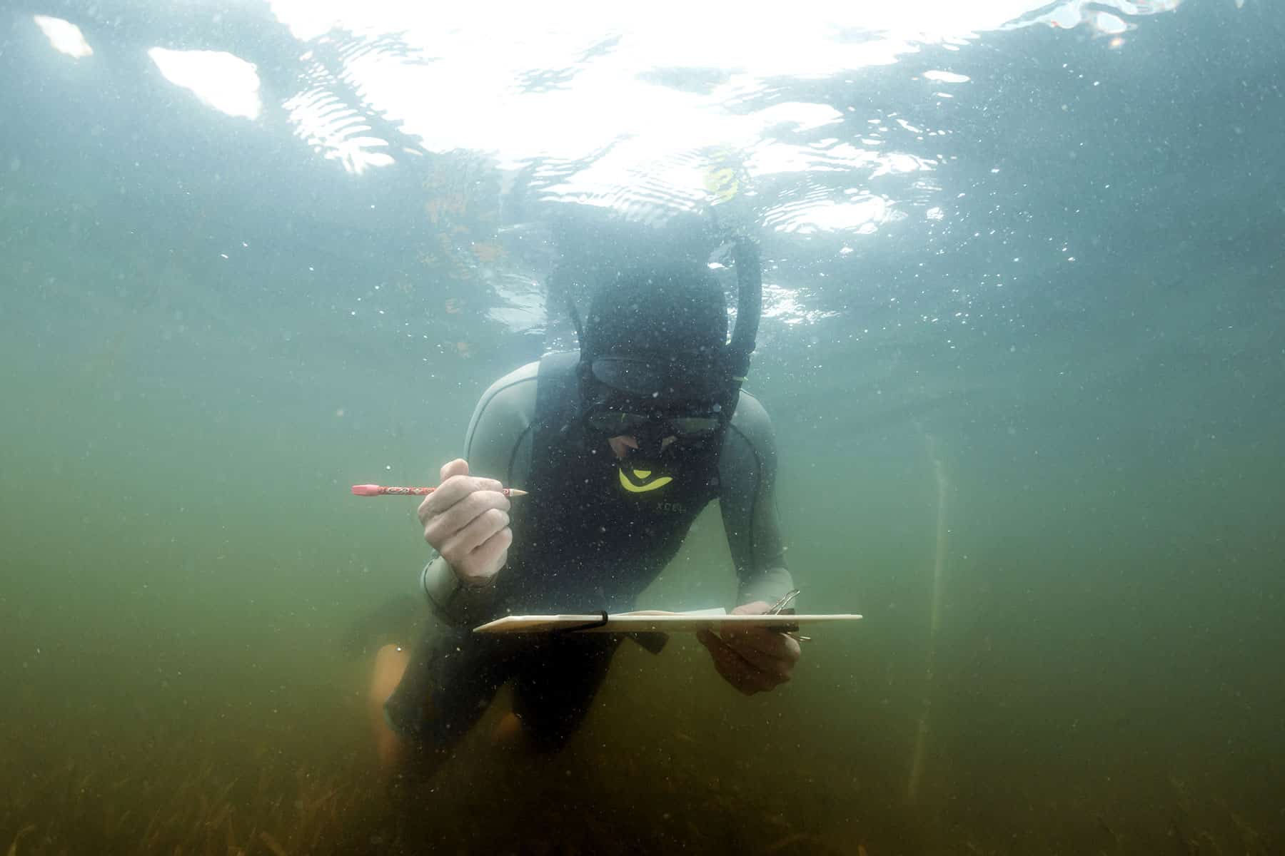 underwater research sccf marine lab