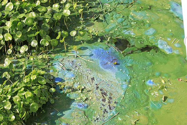 a5krp3tnyz6g3cuvypnx