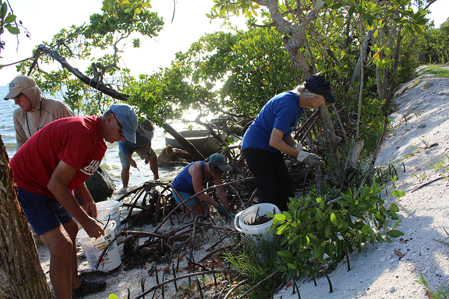 ackomfpx0v5cql1zesb6