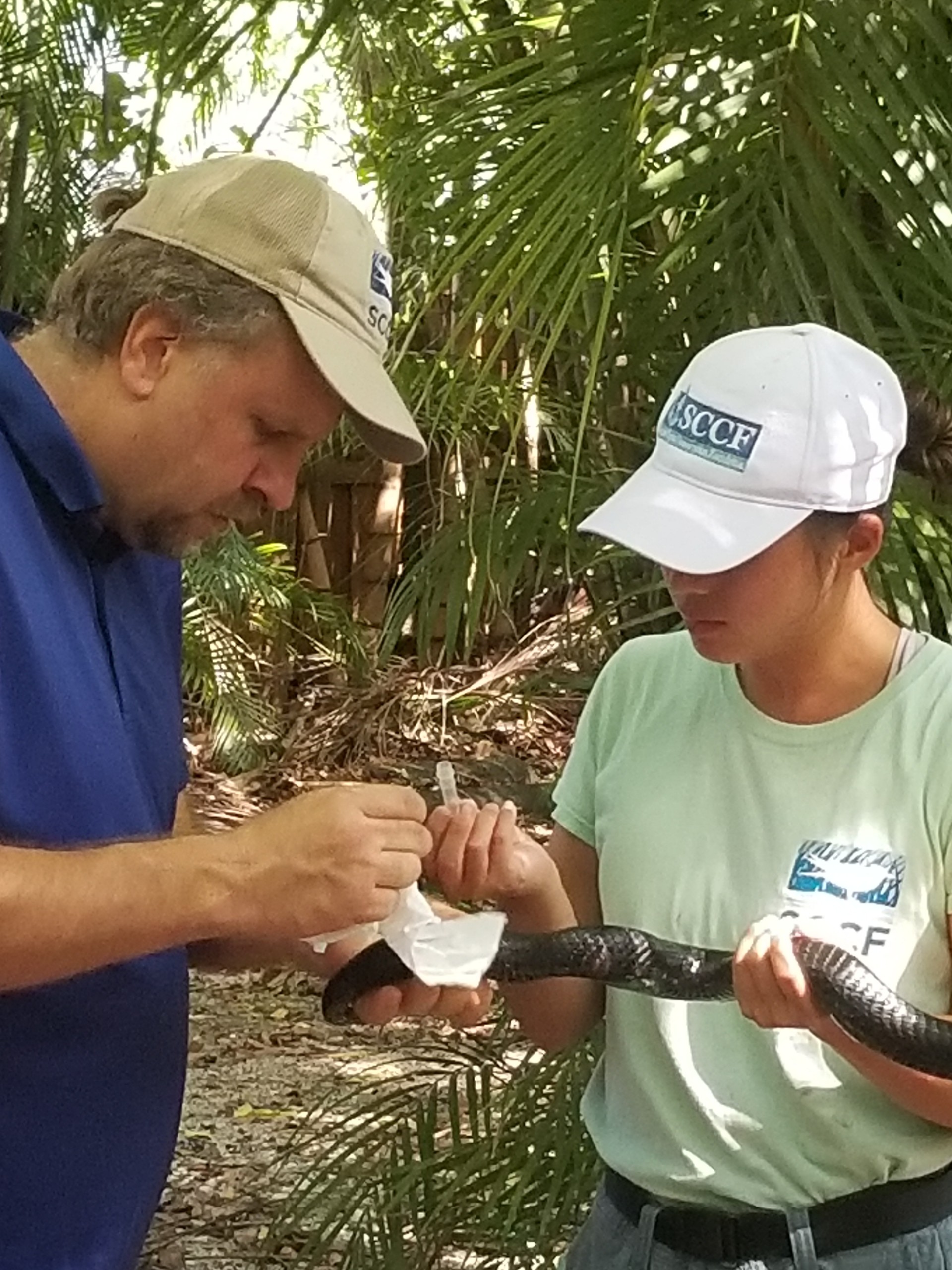 arfndv2k5xx5dahdk7ed