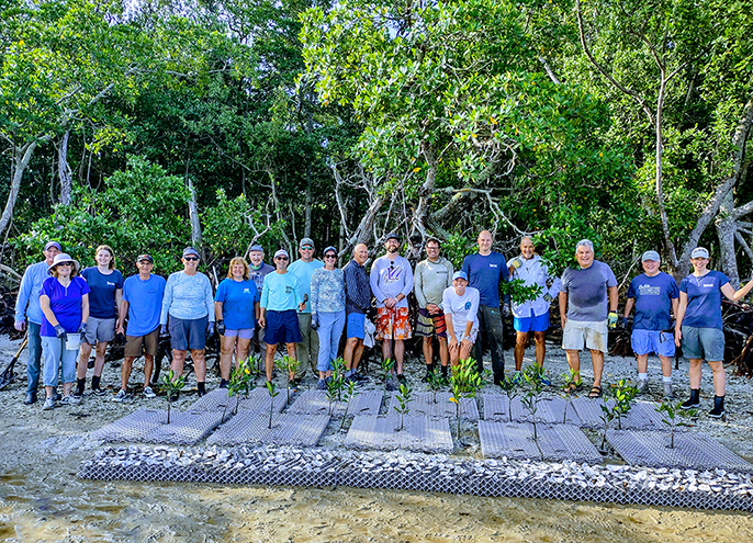 avsziblemjadoaybjxbk