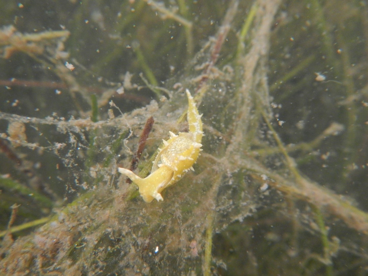 b3efxvazssvzirkxthoa