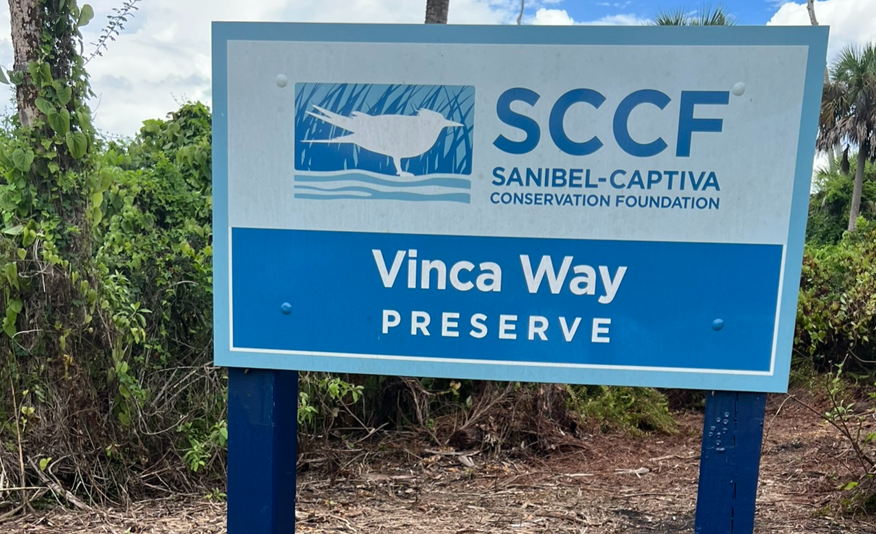 b9rwo2tkujwkde8lskyy