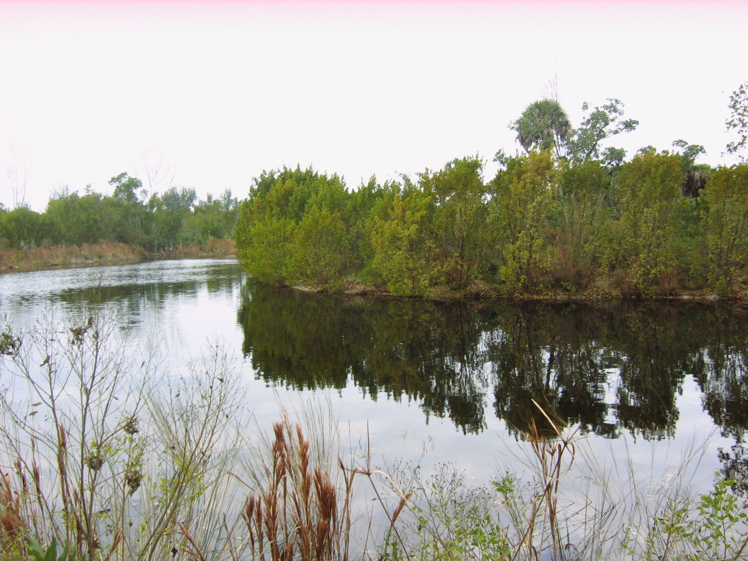 bei15ywfg6gsbpfbbkyv