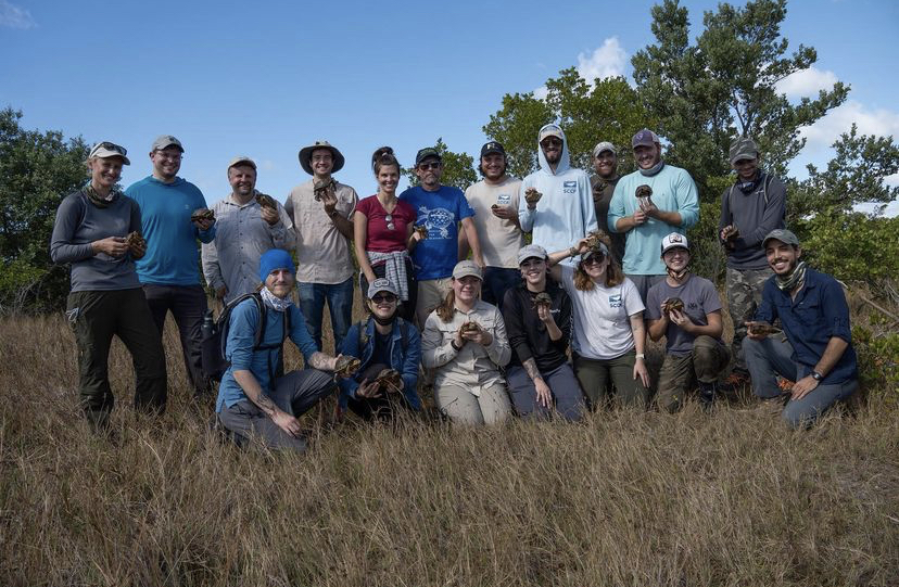 bgefap1o0zd0plttscxw