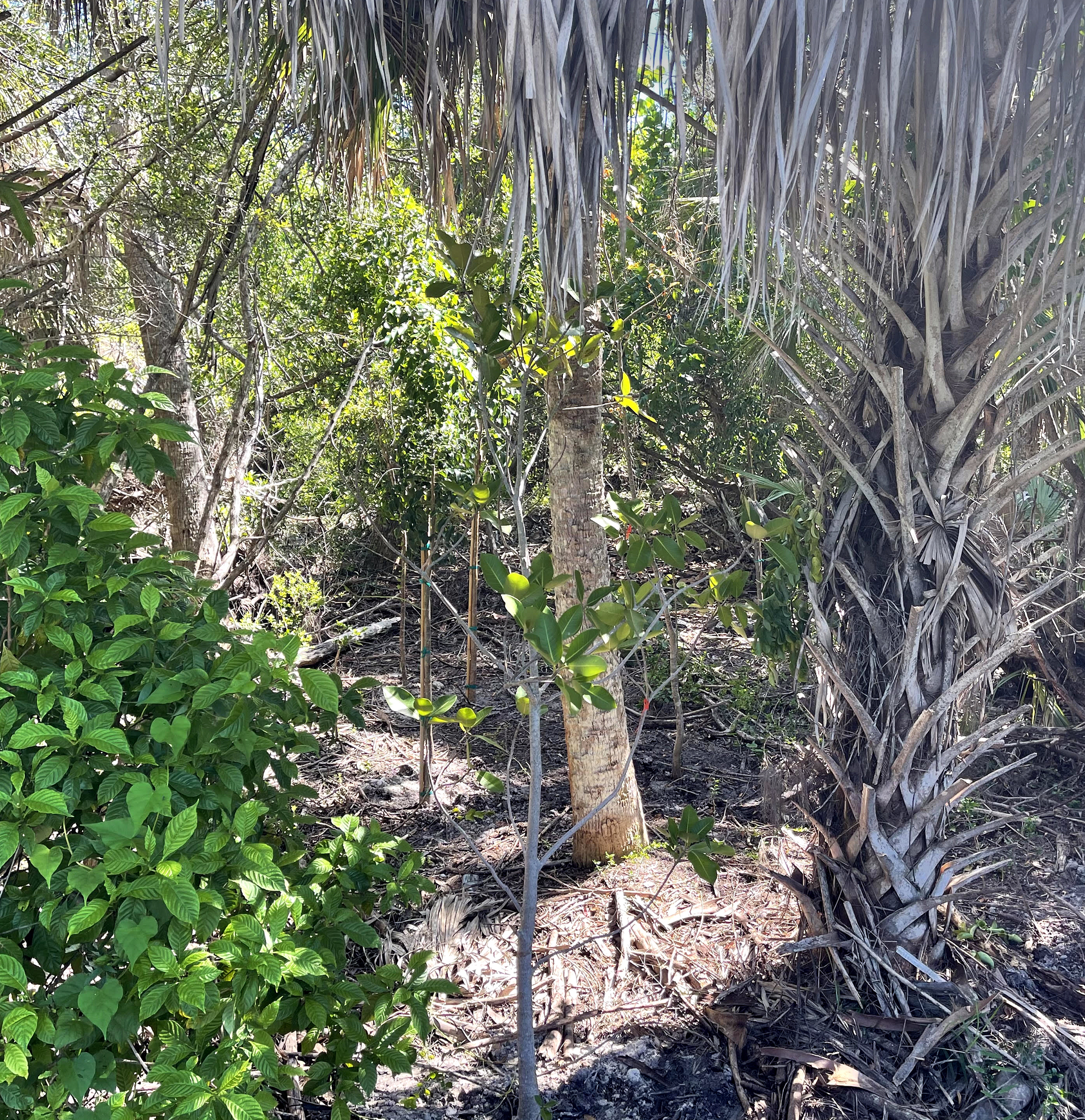 btk9q6juybserfxckprg