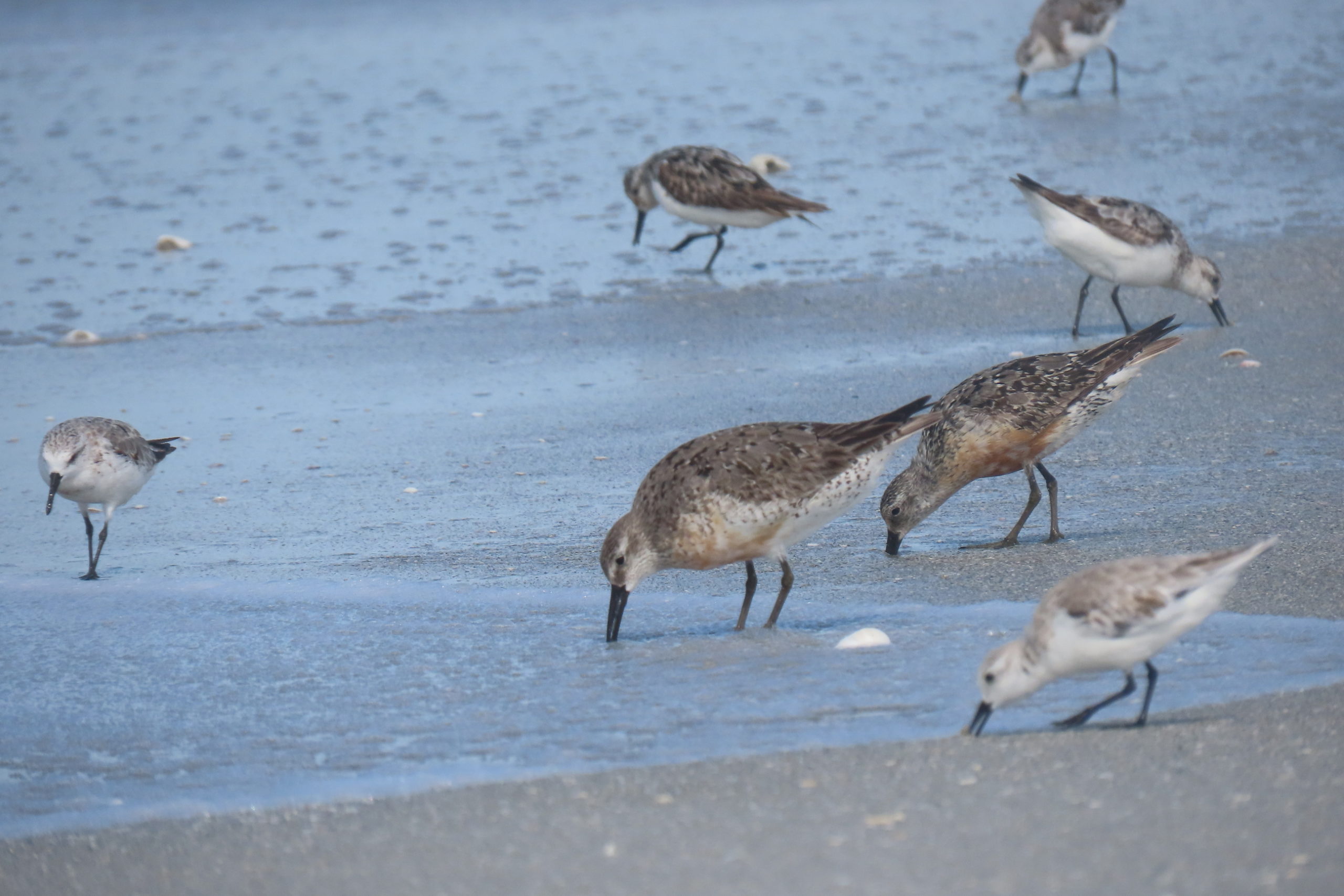 bxdrhdvqtm8h86qonroc