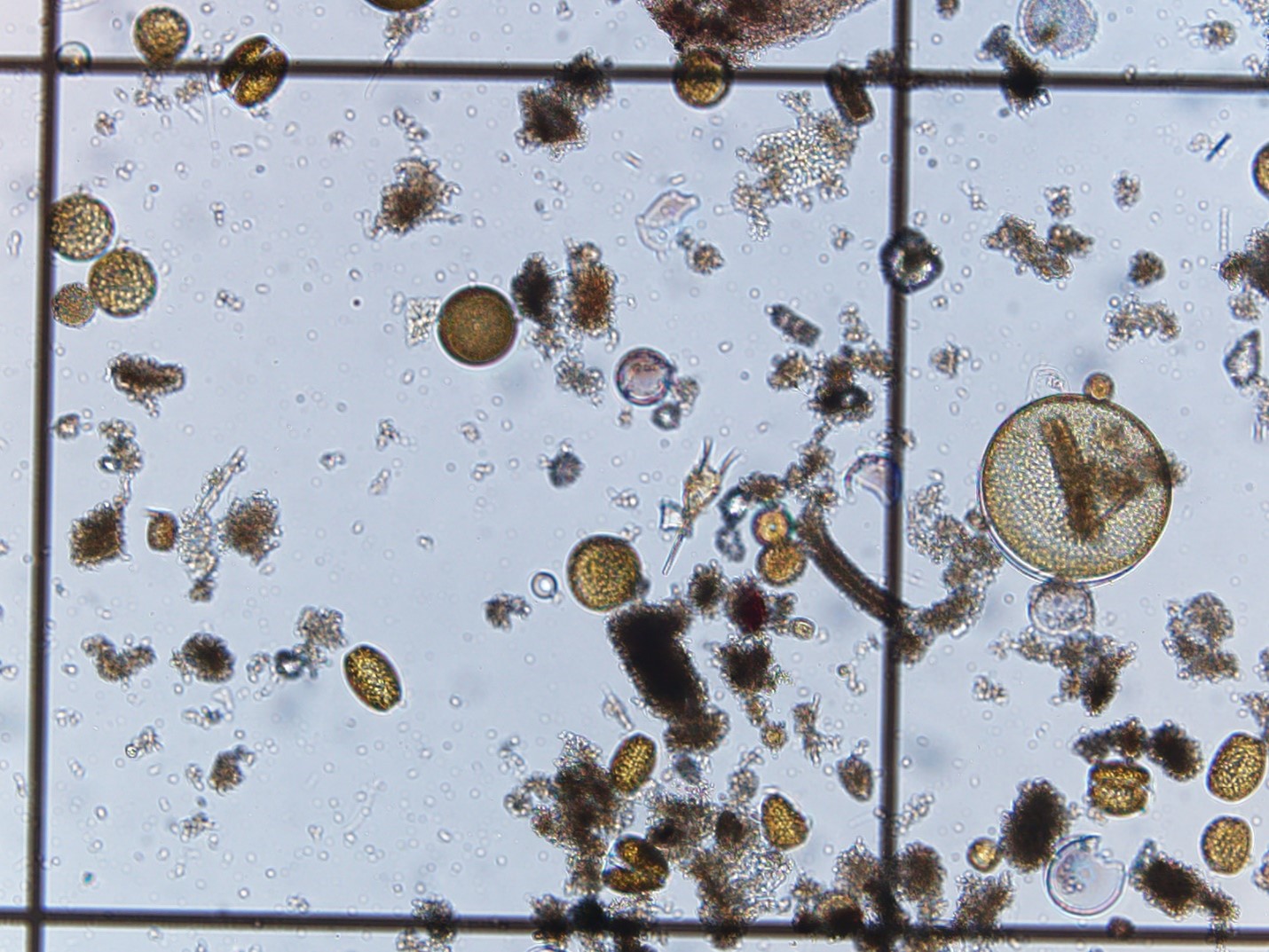 can1kien1ml2thiwnw2u