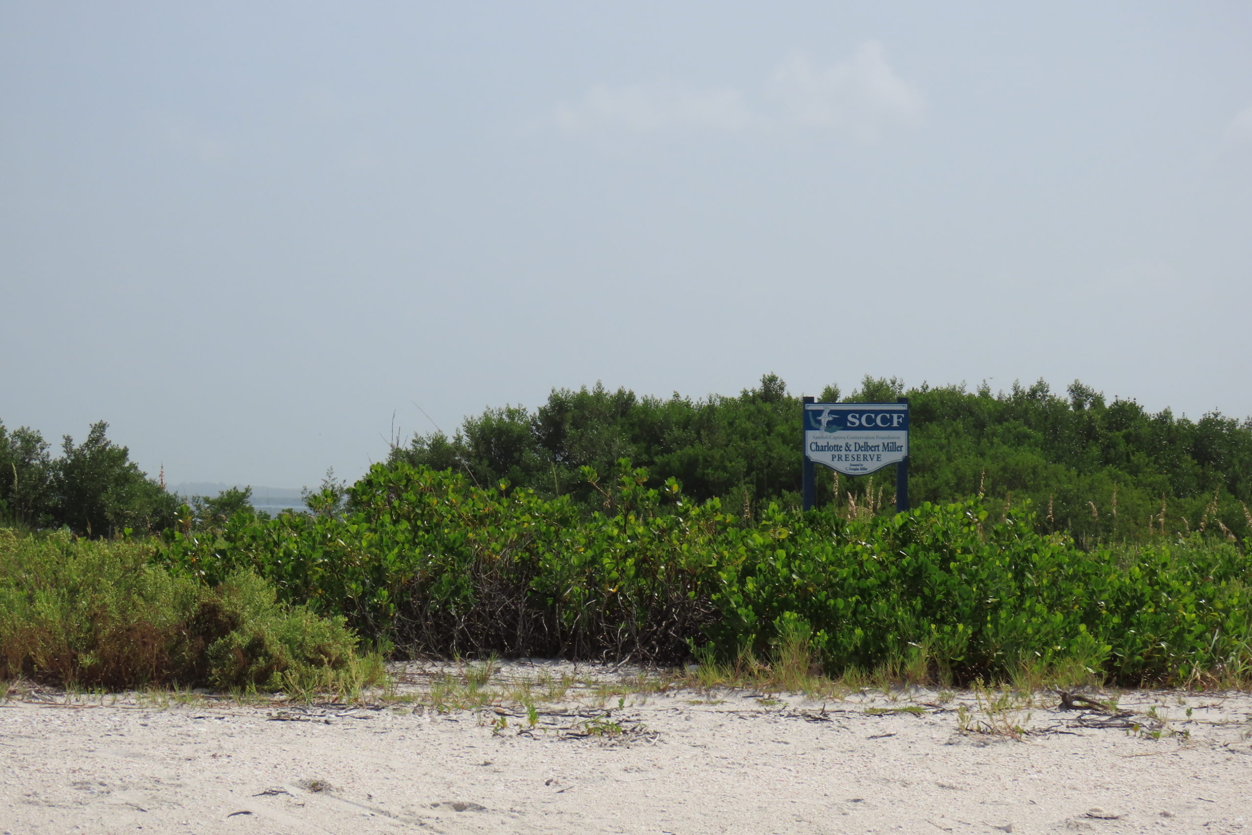 cmpmxd4jimi4tiahy5te