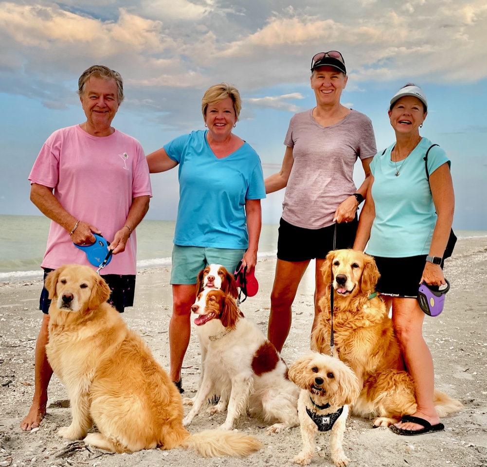 coe0sjz6pttkujx15lie