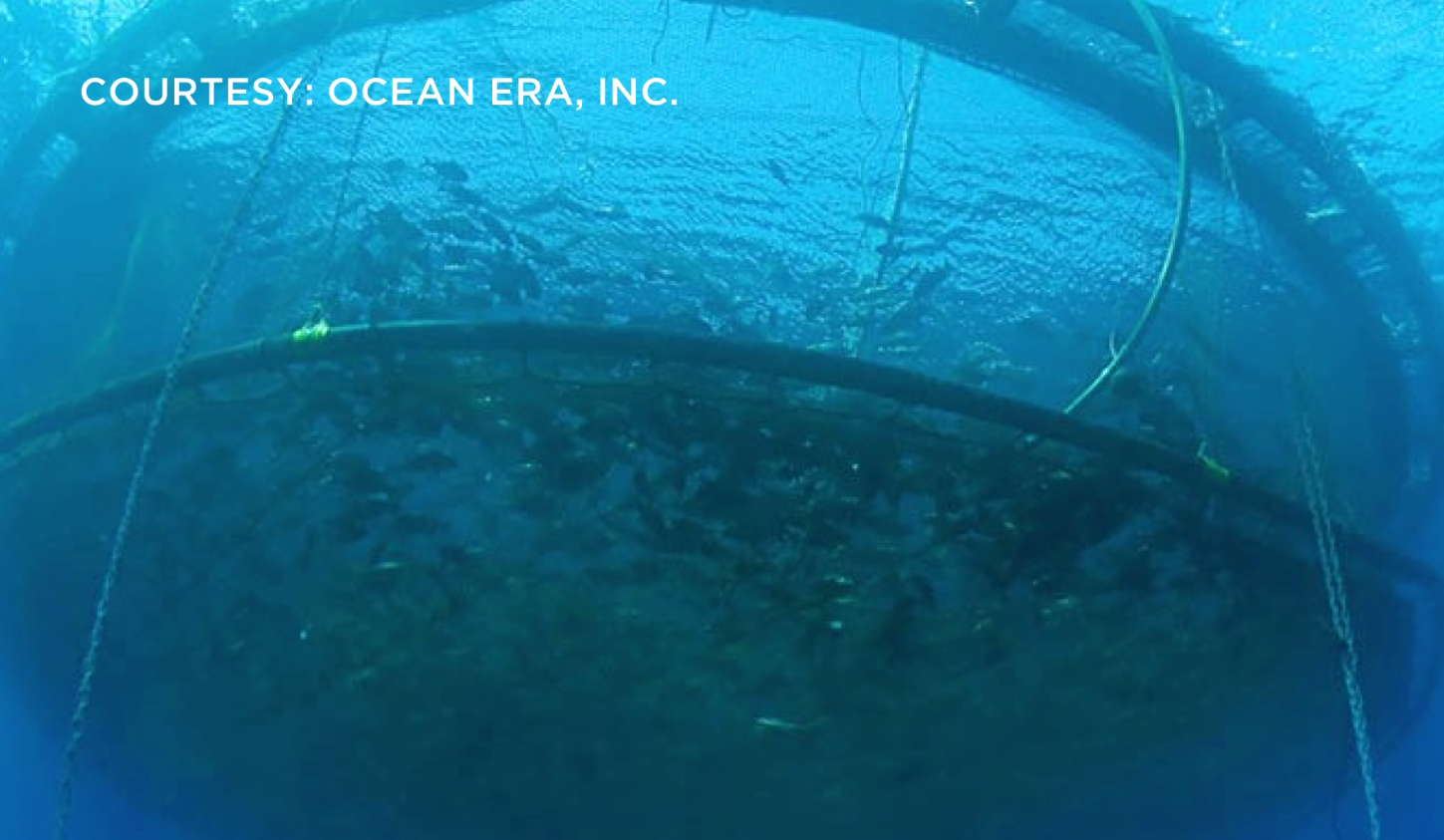 cpu5jviv8cxi4wxmc5fh