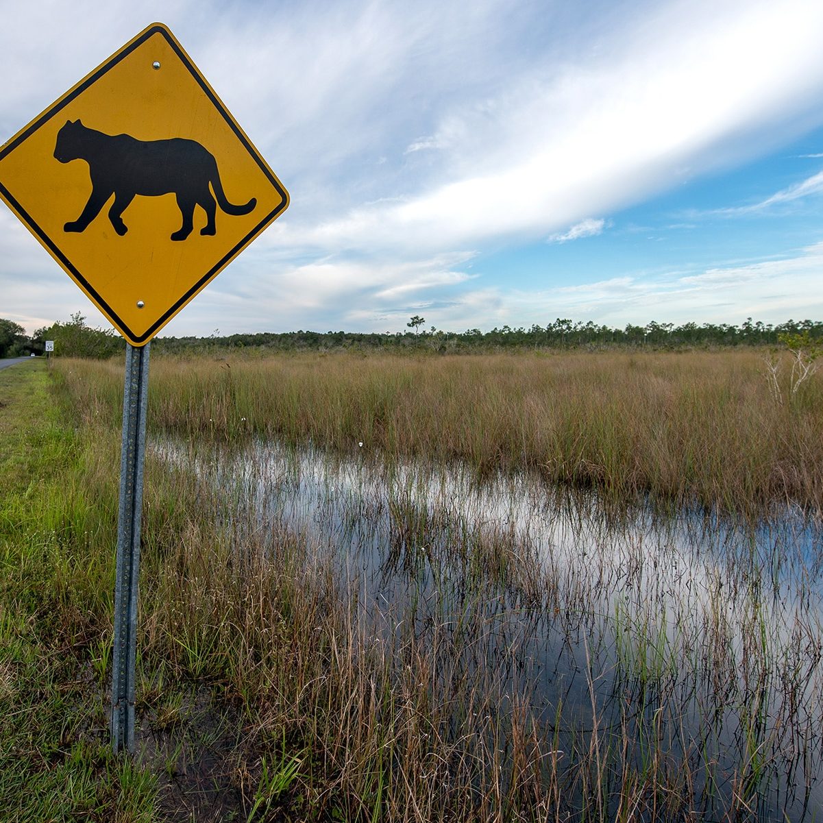 crlmu5g50ntadv1jm9bl