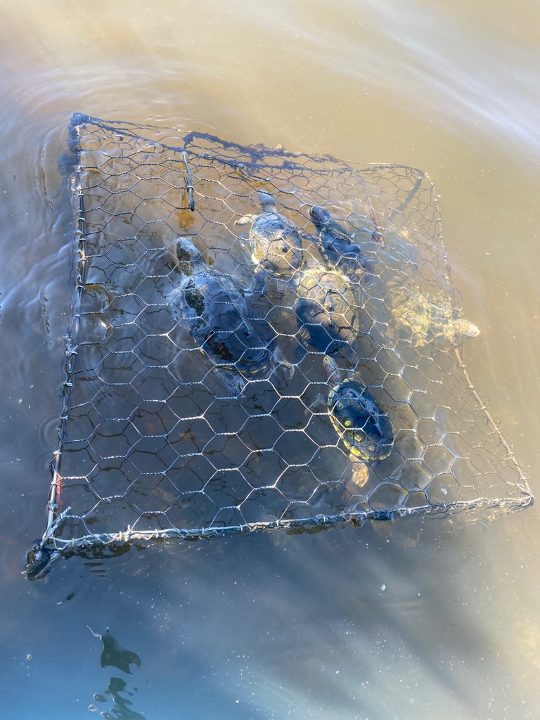 cxjlezvn3ivzuuusghlt