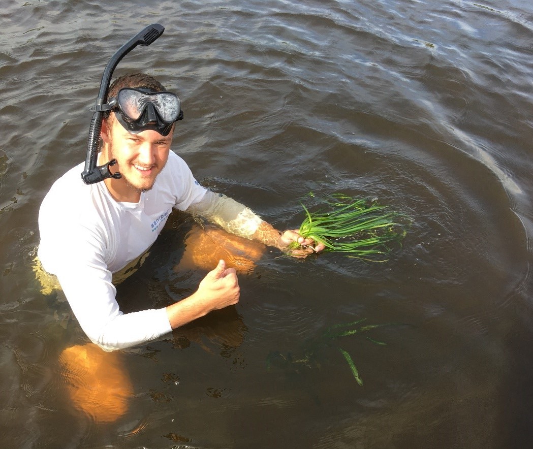 dca4wal4mls0mcbwcmjj