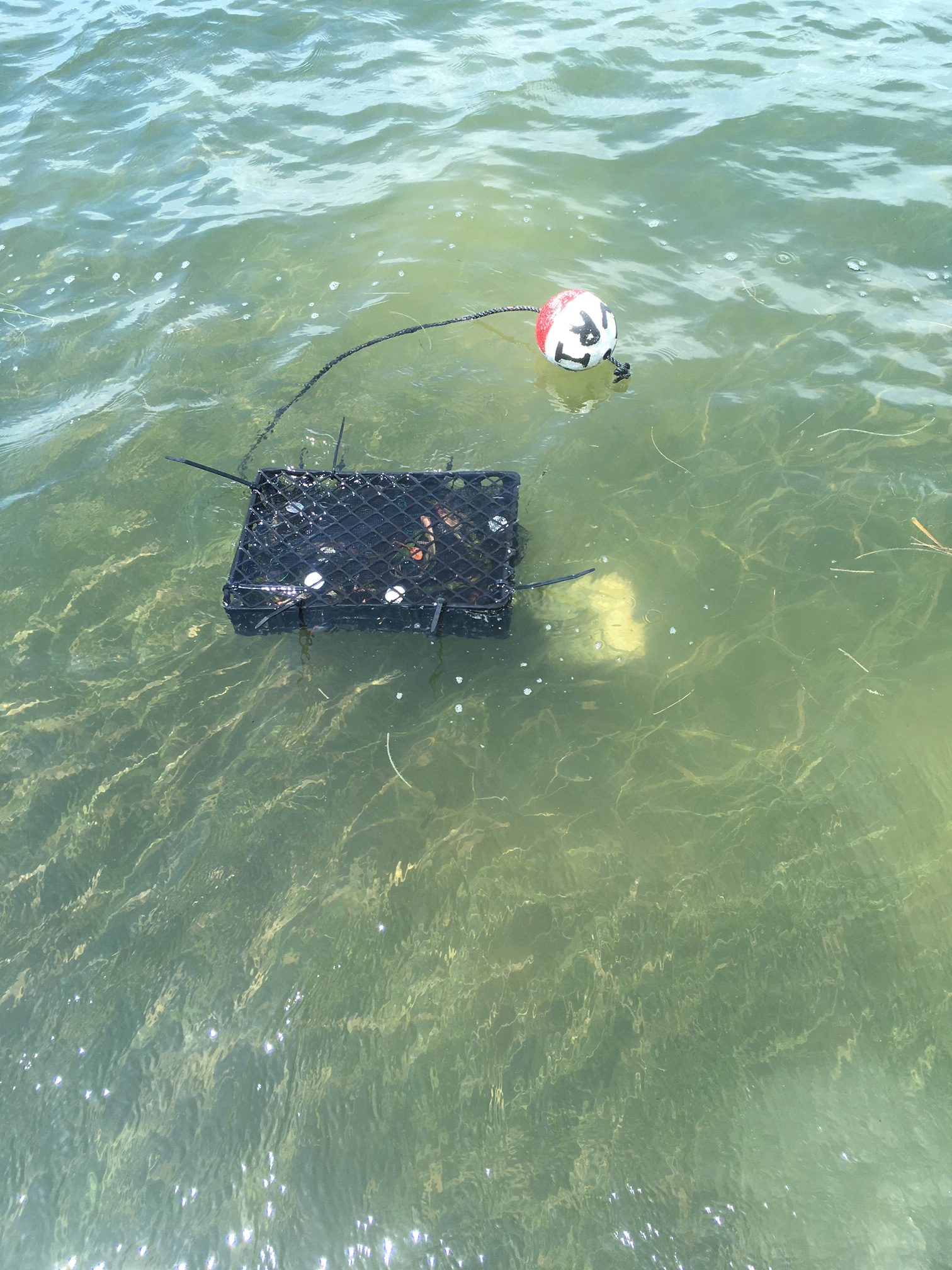 ddedohr2b08zxfv70jek