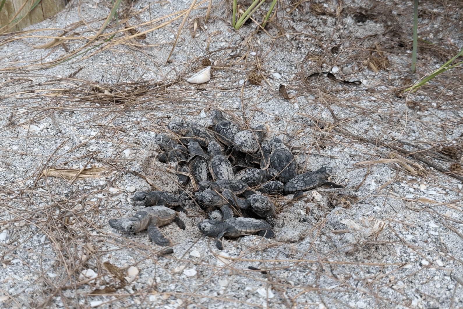 ddouhjfhadcokbb04jfi