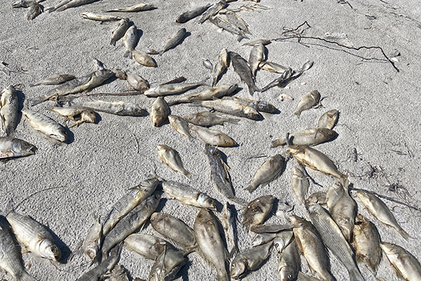 dedqnvunw9fctdq33efq