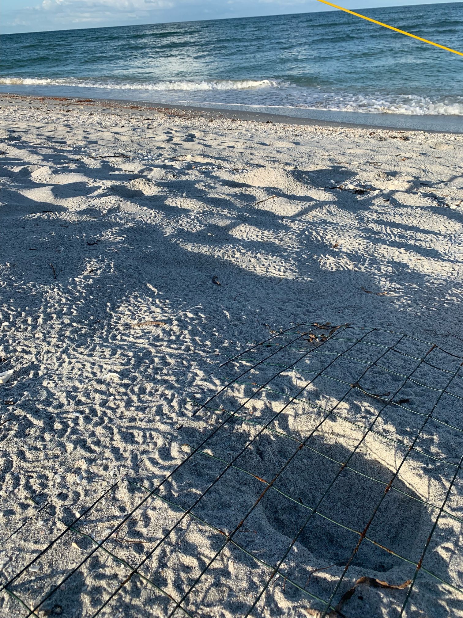 diqi8bthlaukk2ozxnl0