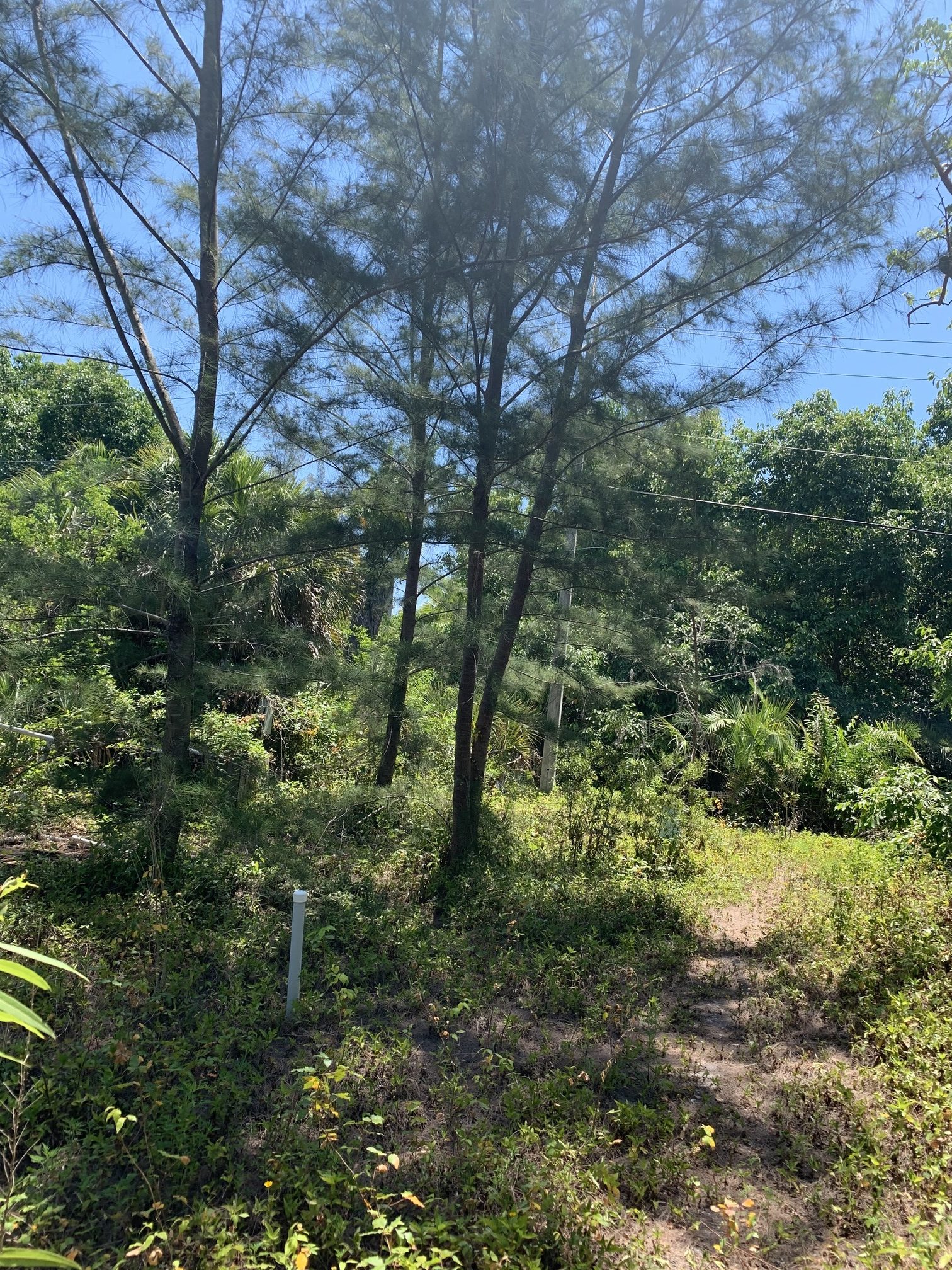 diutputg5m2xa5gm3bwp