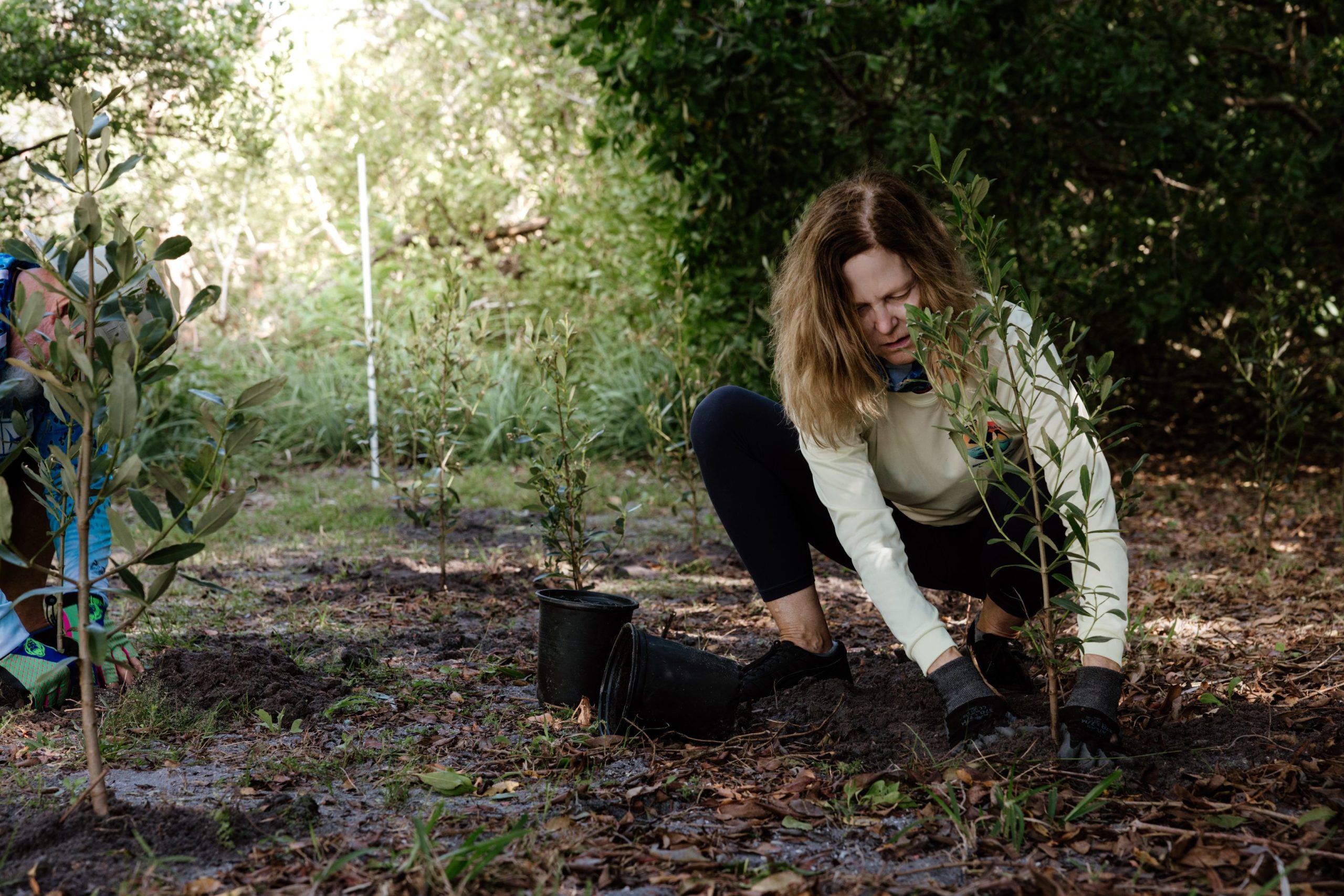 dmxepxn9n0miiiz9wbvl