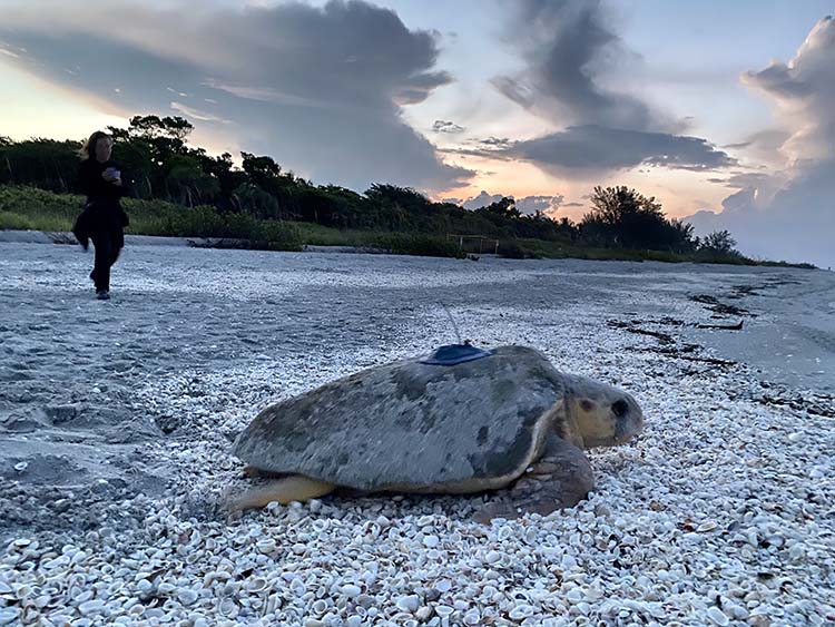 dxvoqoamif4cs2vfpyi6