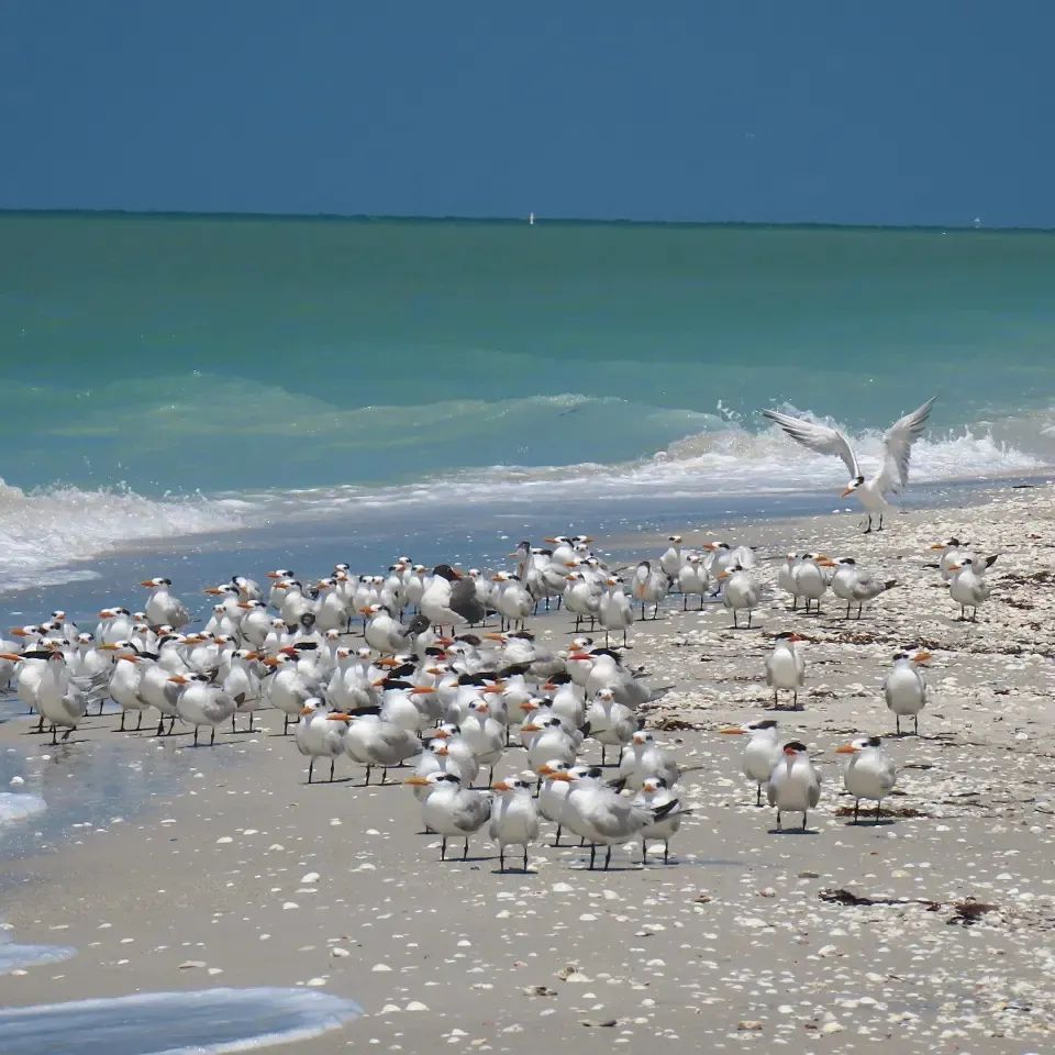 eiifqvuyvxmx8w57trfq