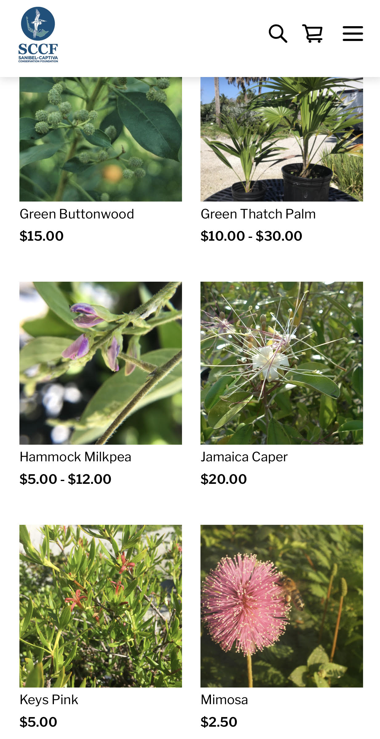 em1g95bp29dyatiaik4w