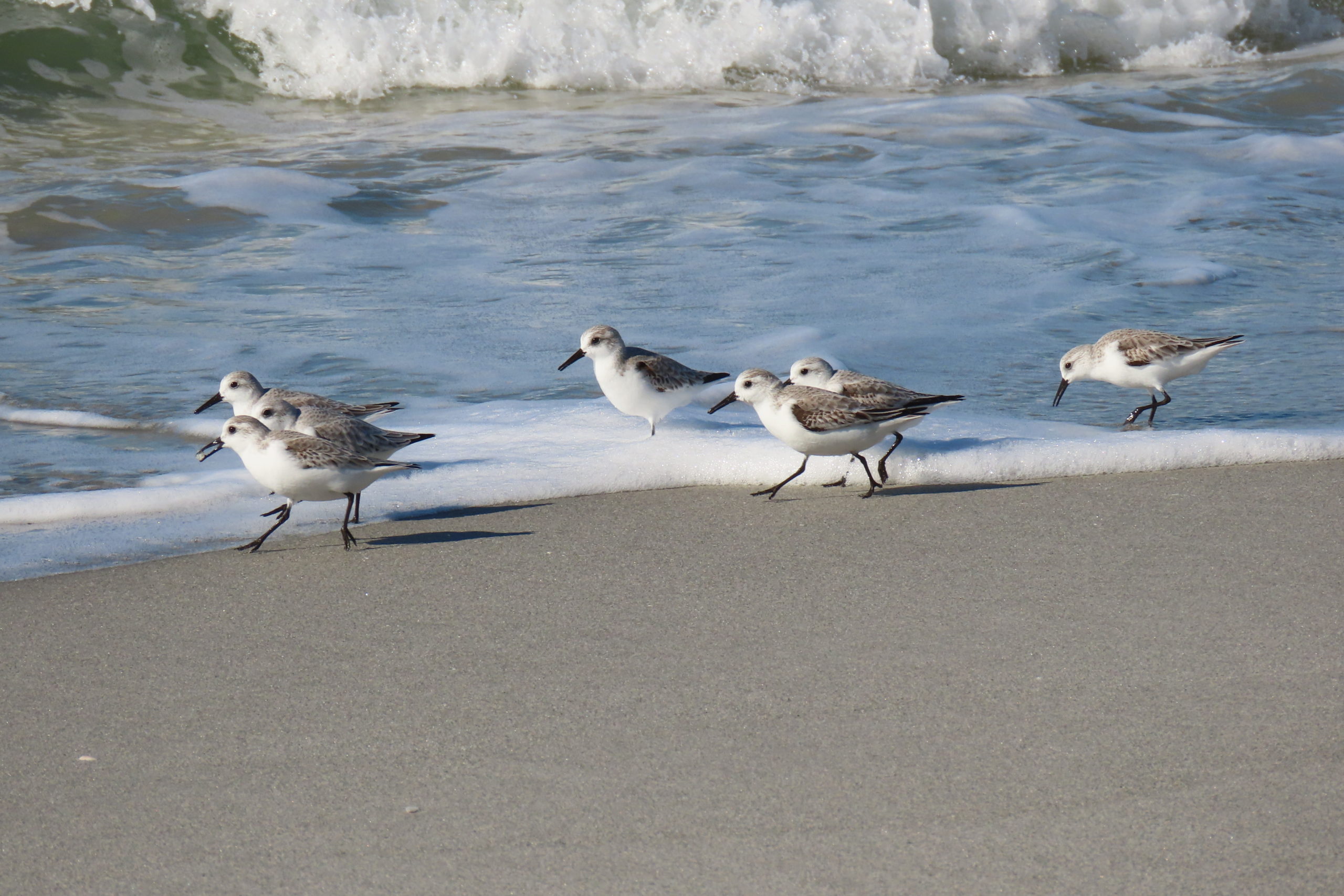 eocpunb1svgnpmpv8p2c