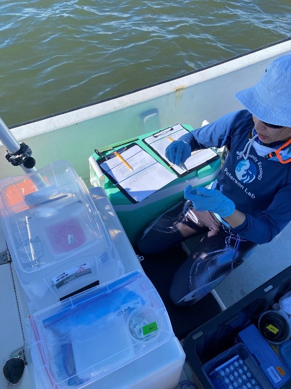 esdhottppg1cv56cqcjg