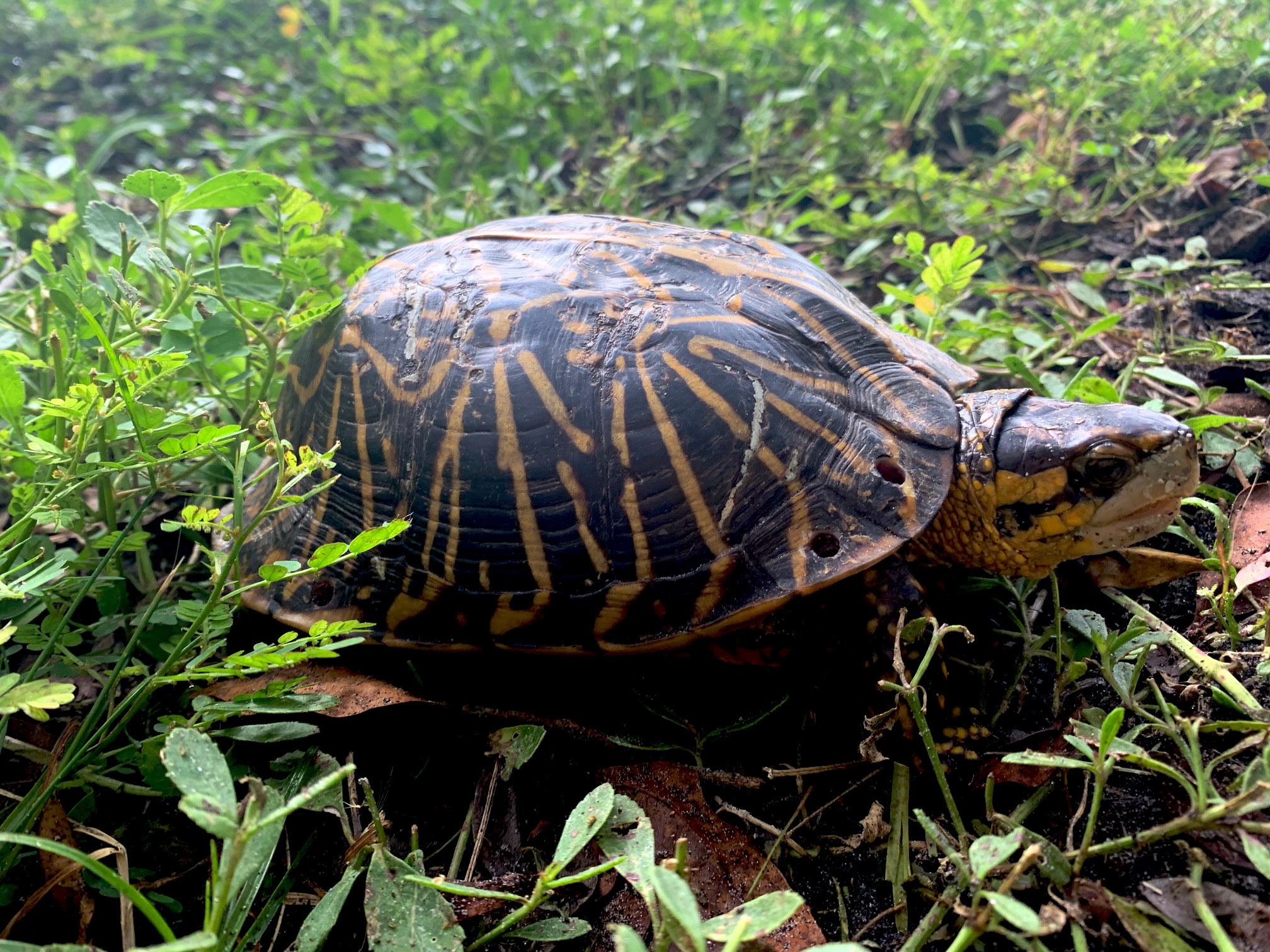 fpymx2ng1ygc8rhdkwwz