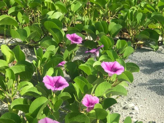 fyc18dqztko0nfqhlbl1