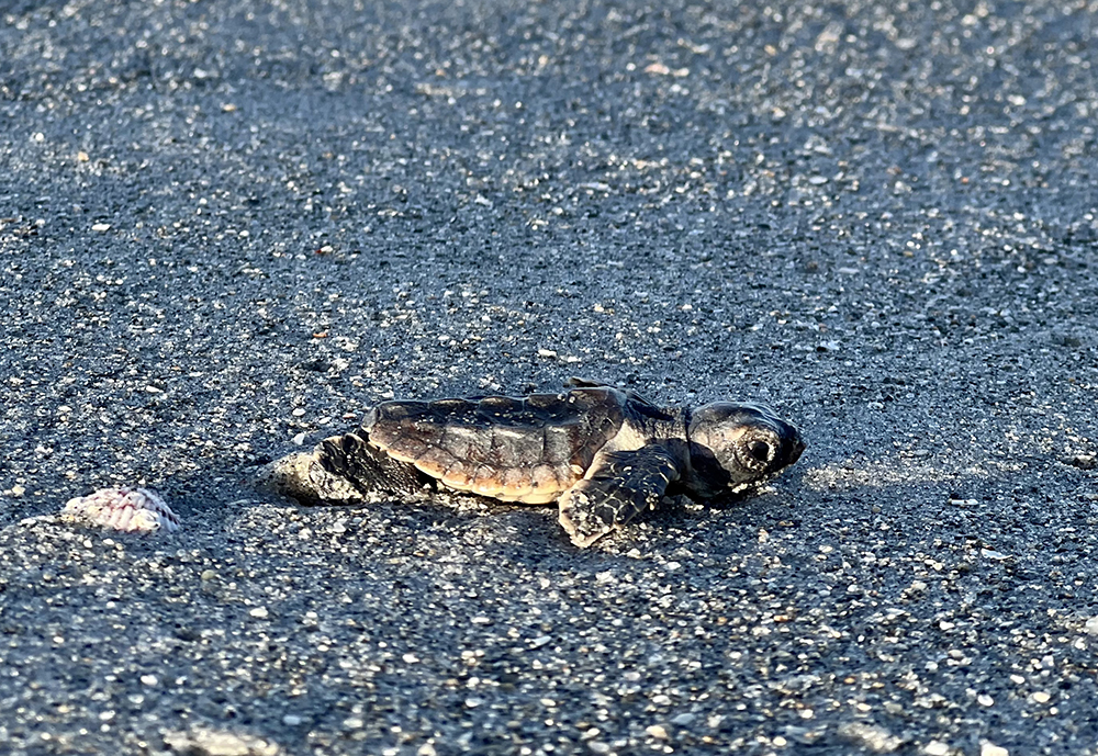 g7y5p7wp3tkgxvsk5l9c