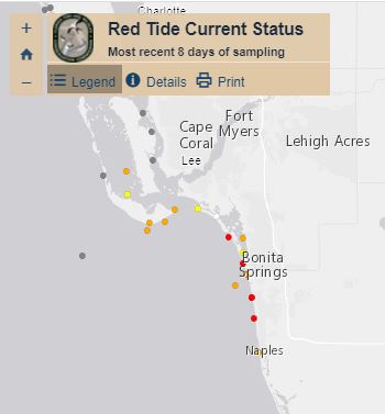 gcoeeoka2yrx4kwjntyw