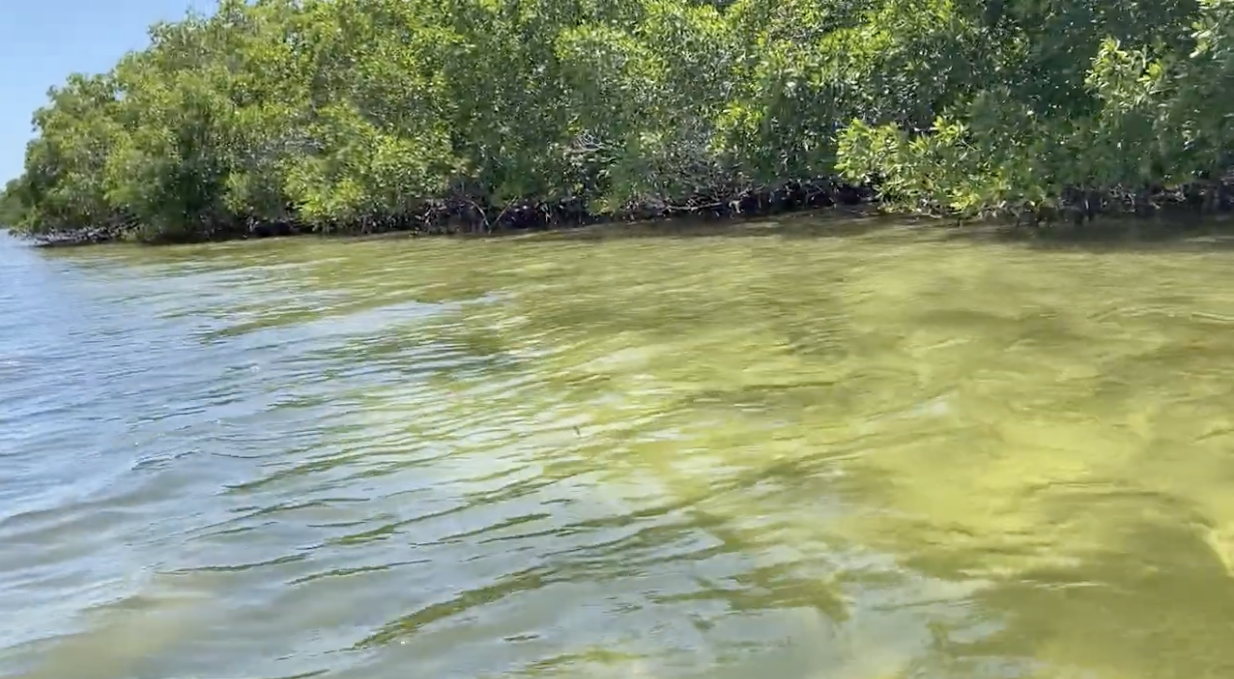 gd05qls3z5t02uv54ucp