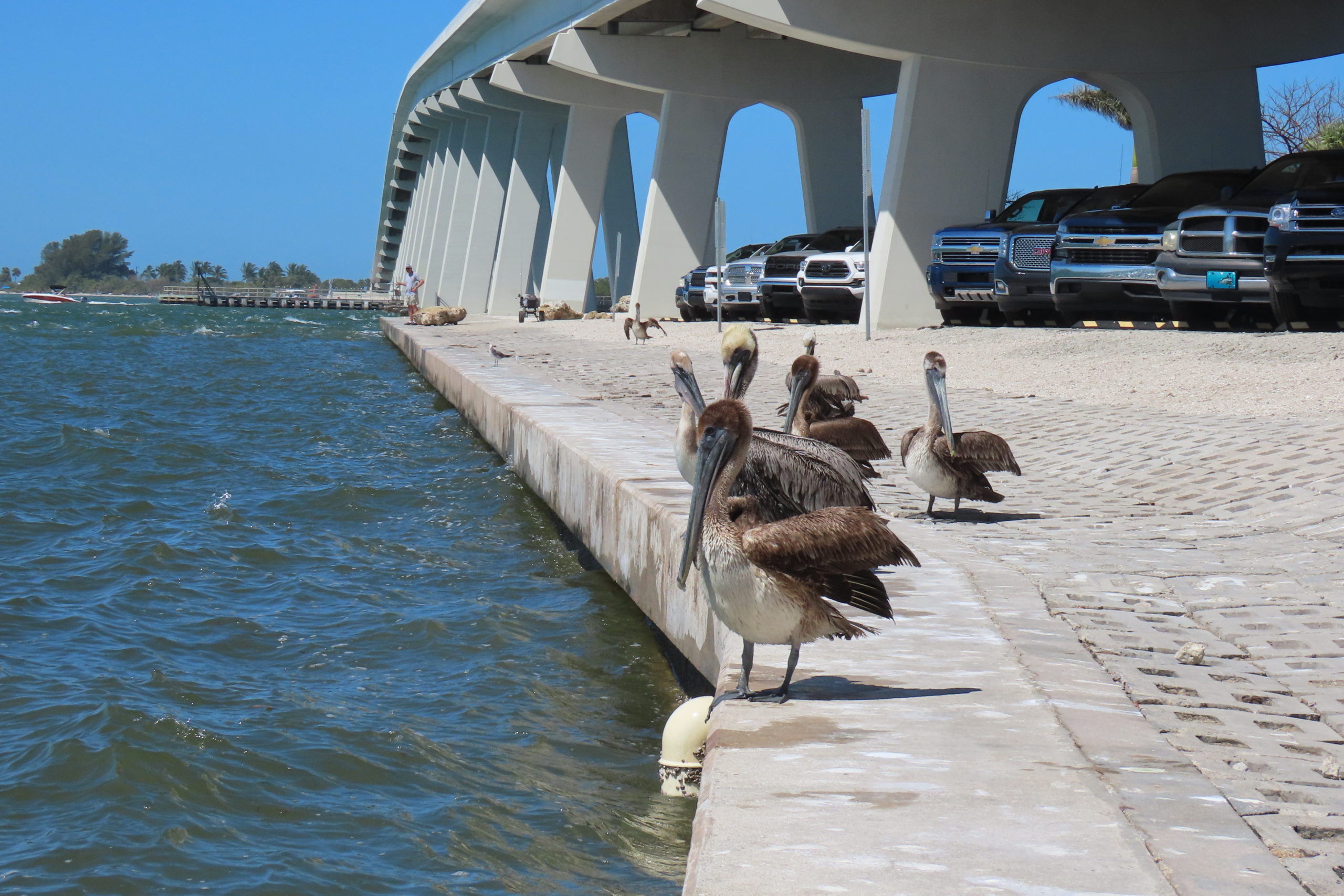 gexxm0b8xmxuxkn7dycz