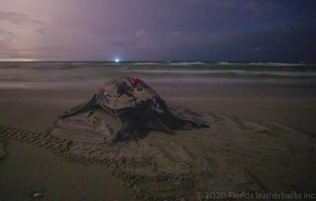 gmyumoq4x8vwofnsrfxv