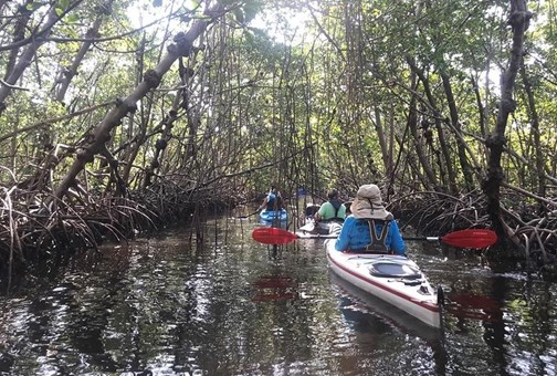 gvio1ssxqihkpkrgcr1x