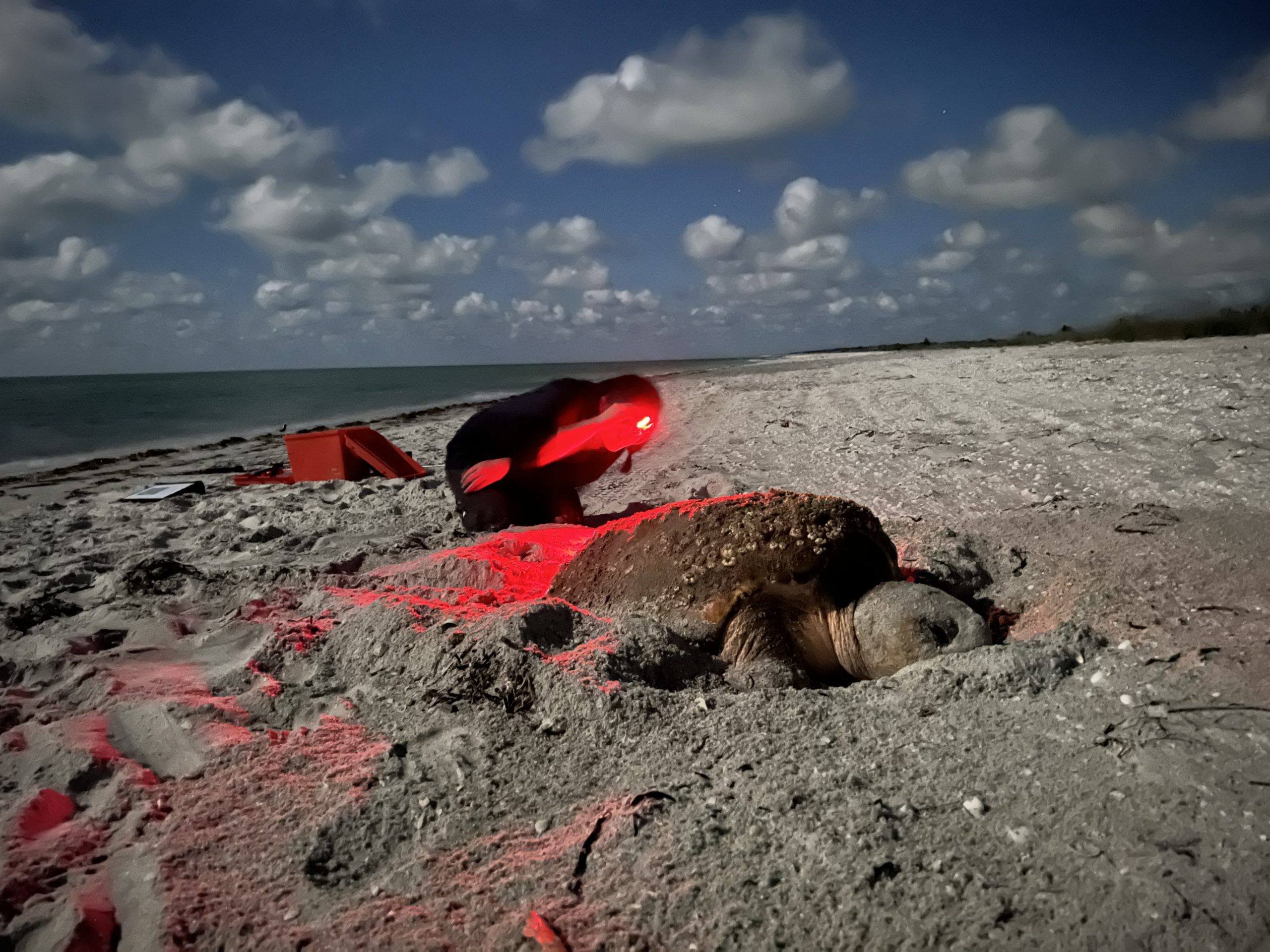 hau0vrdl6bvss3nbpfvl