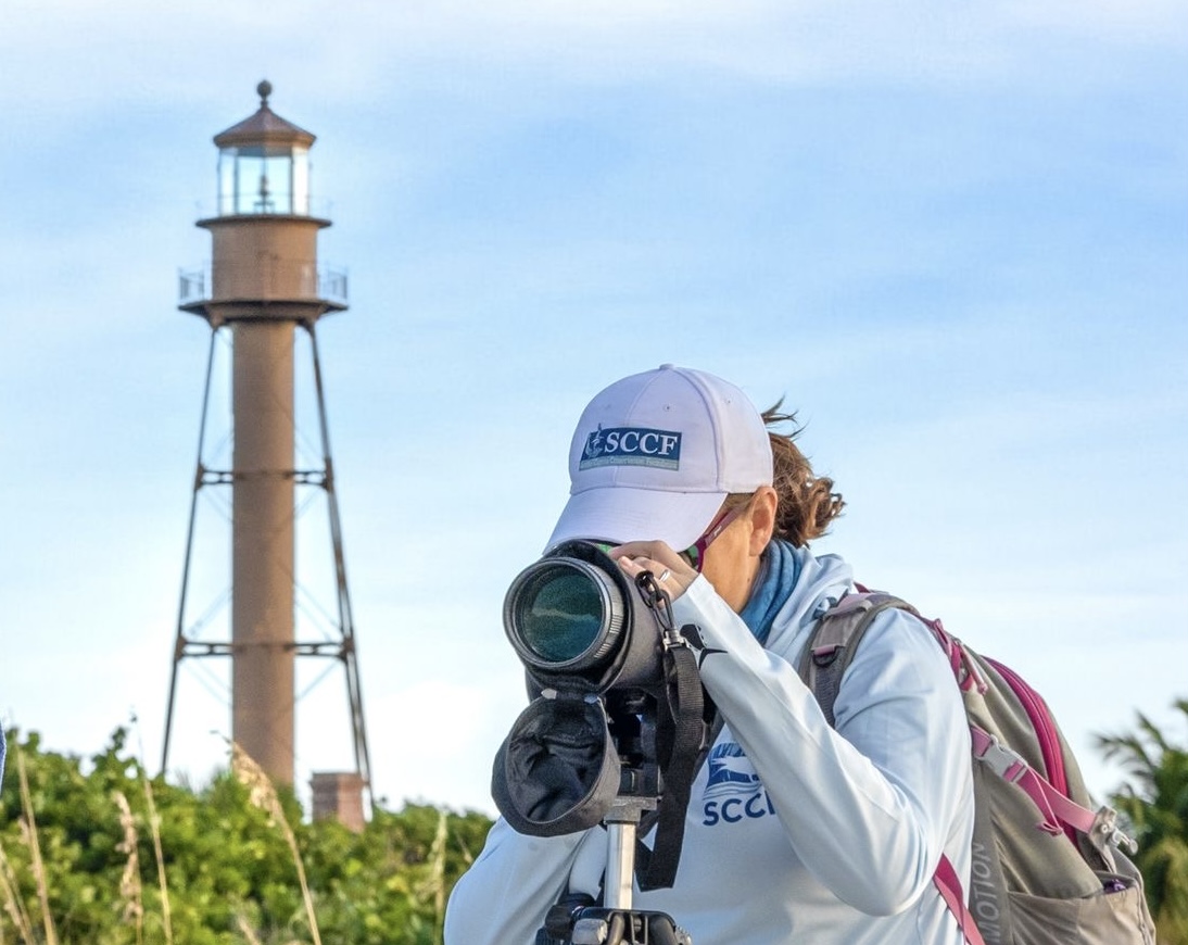 hllgnkhpv5duxzvx5z7m