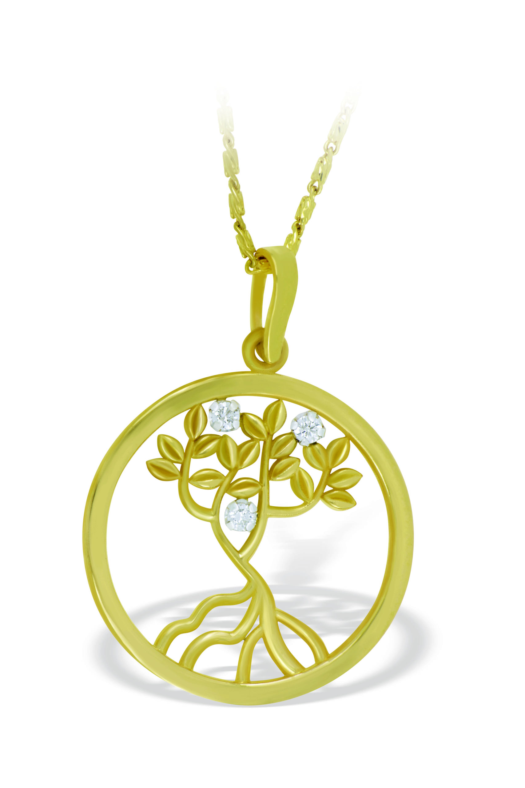 Picture taken with Alo Photo Scan - www.alo.zone