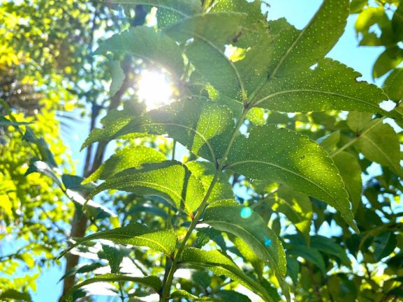 hmxqiboxpskrqpjrfq3g