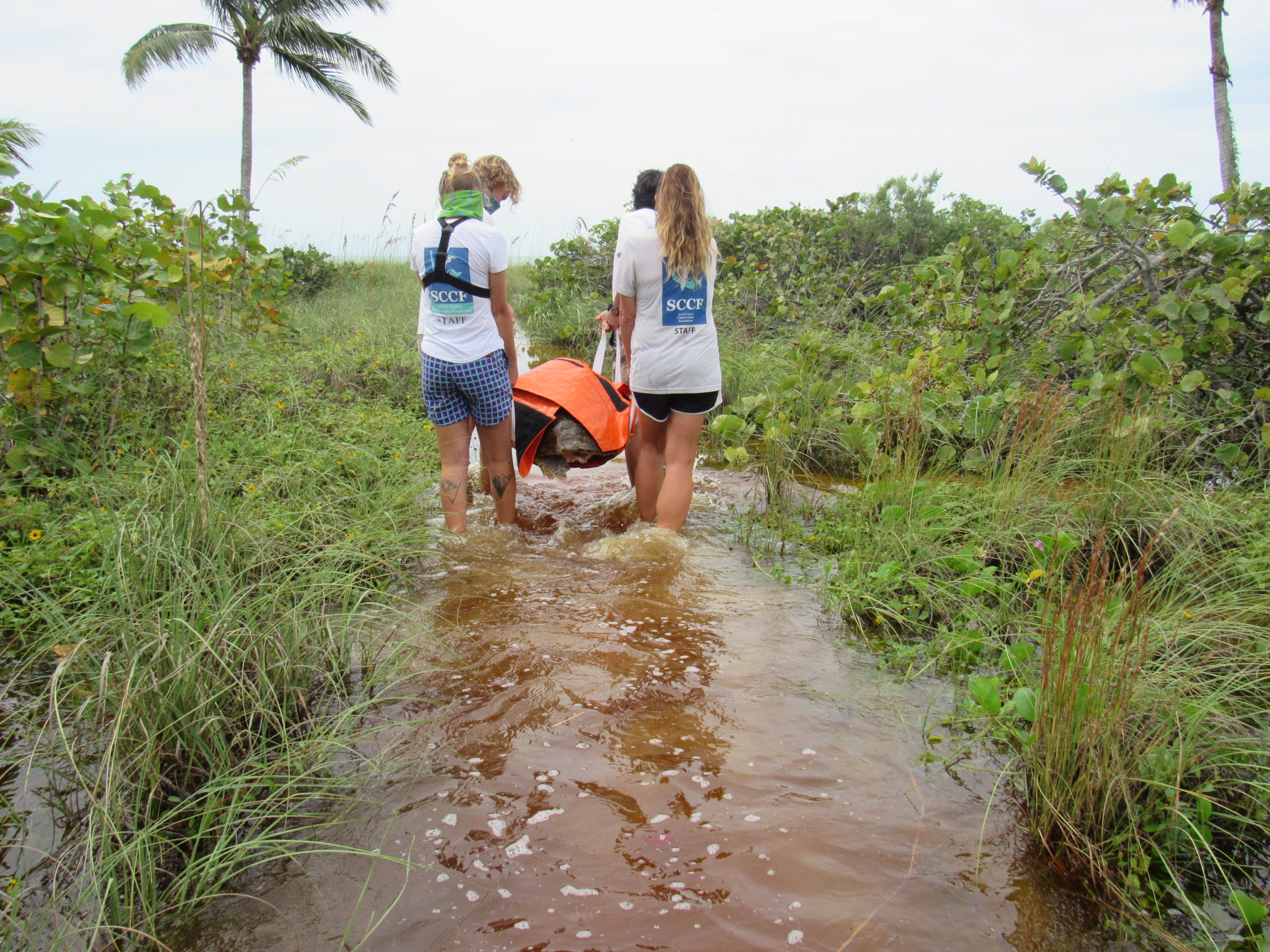 htakdnx5jbdwwuoo8cek