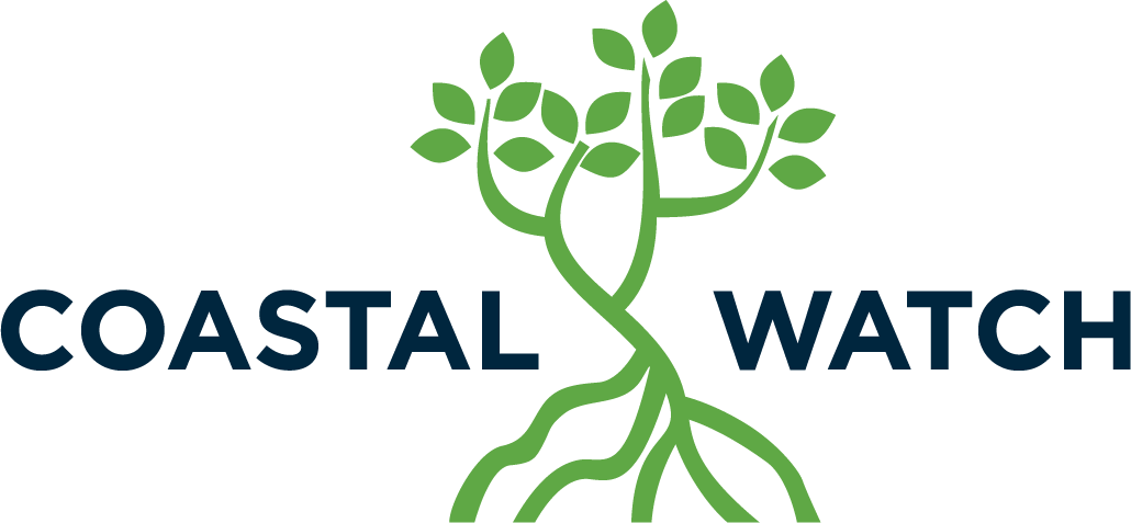 hzma10ekp3gcquavcy2z