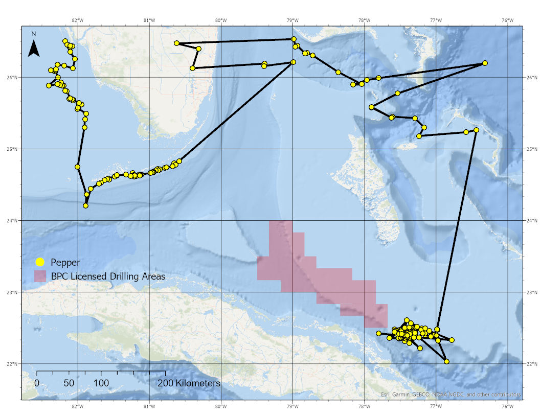 i1rj4hzwcu53kbht92rt