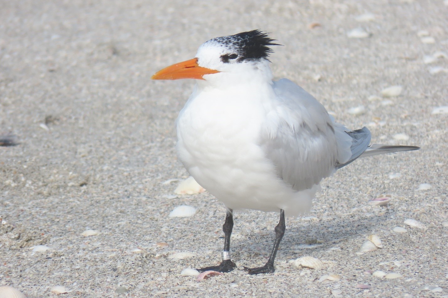 i2j35fyuhsbh8av8cpxz