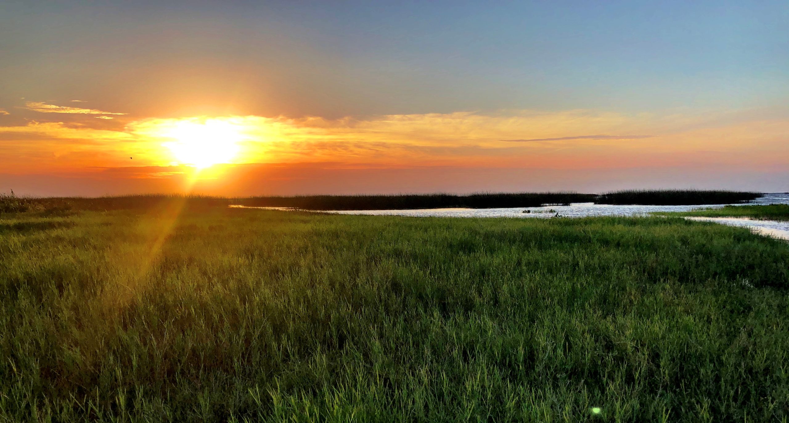 i4yo9gpjxtgvkf6lwja1