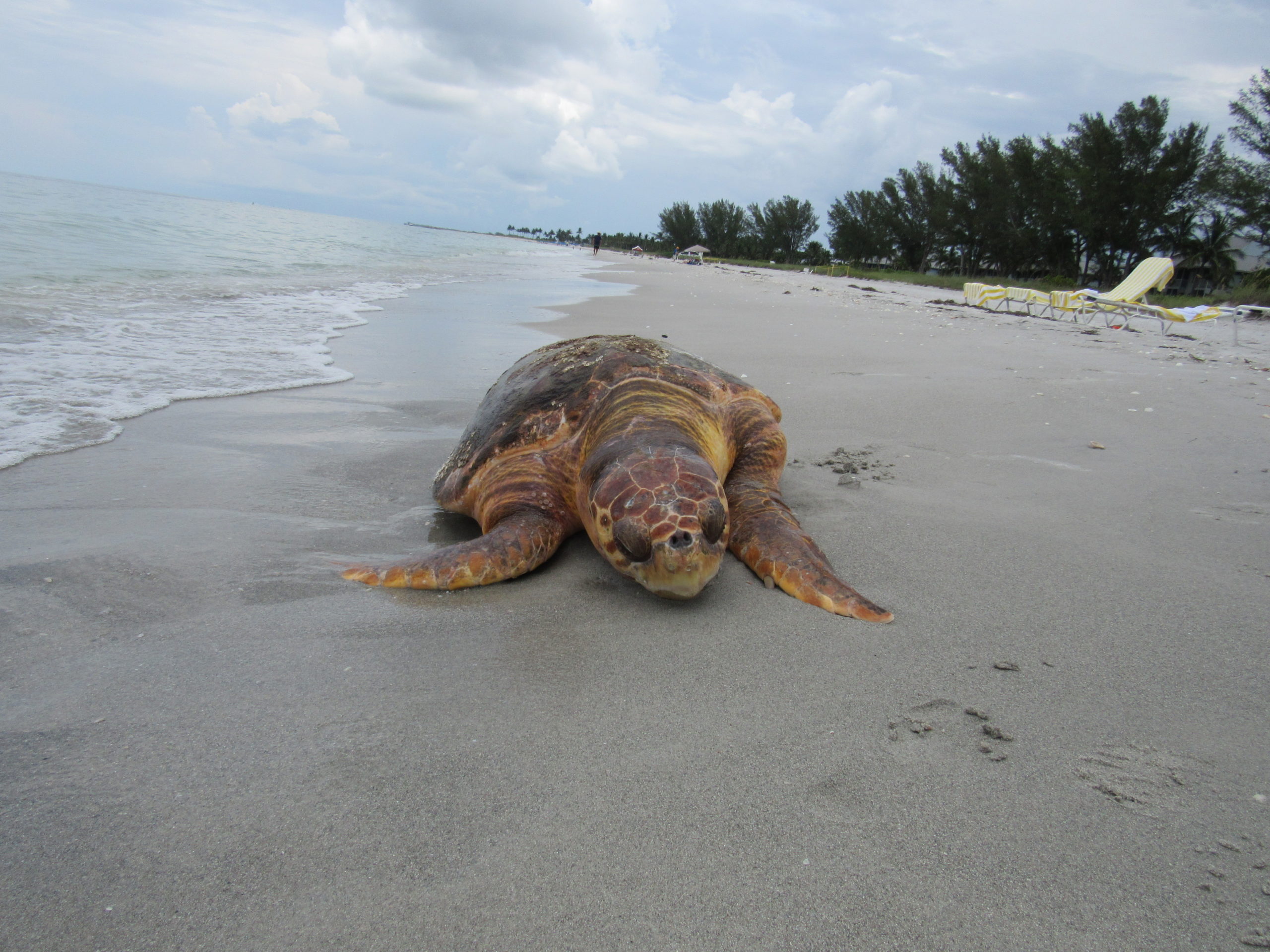 i853ktgvrrvad29uqhne