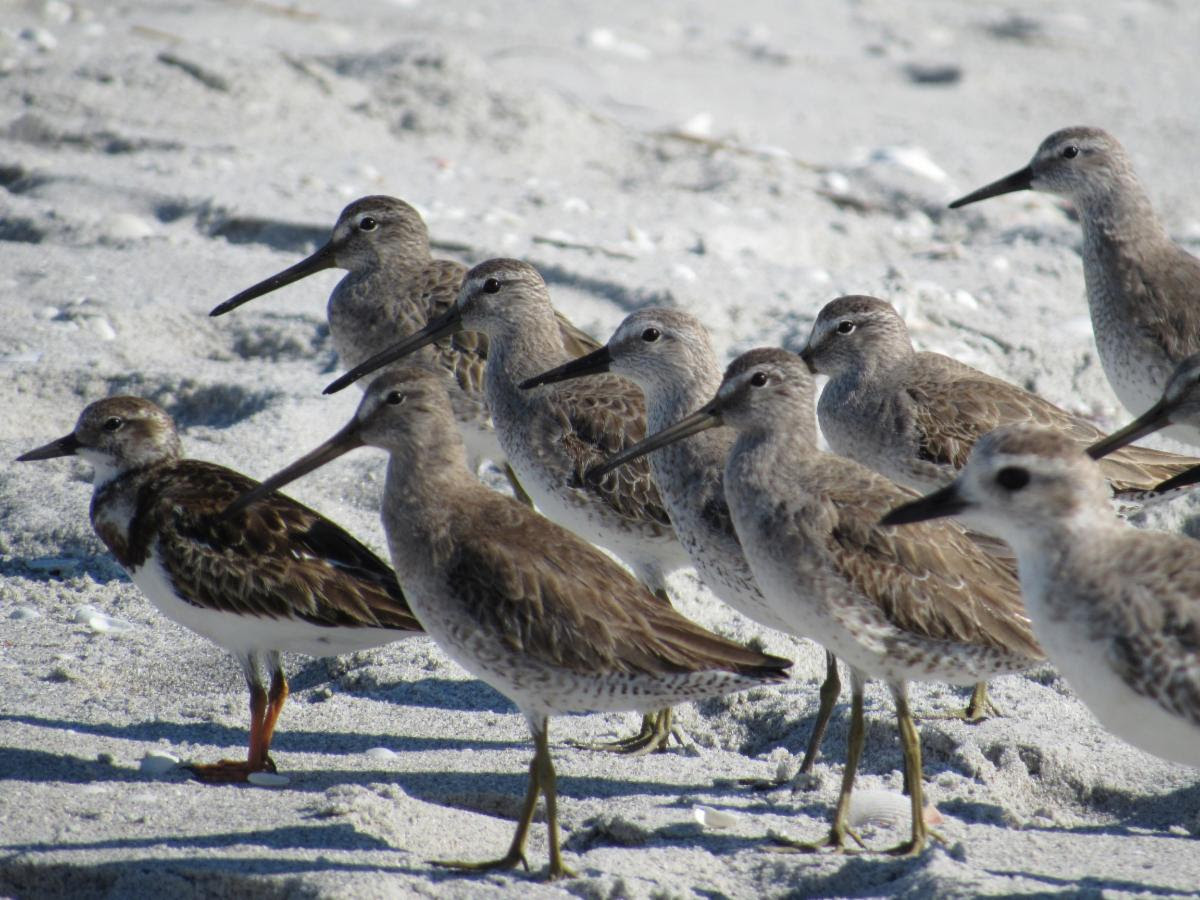 imf3ljvqov9aiawdnpip